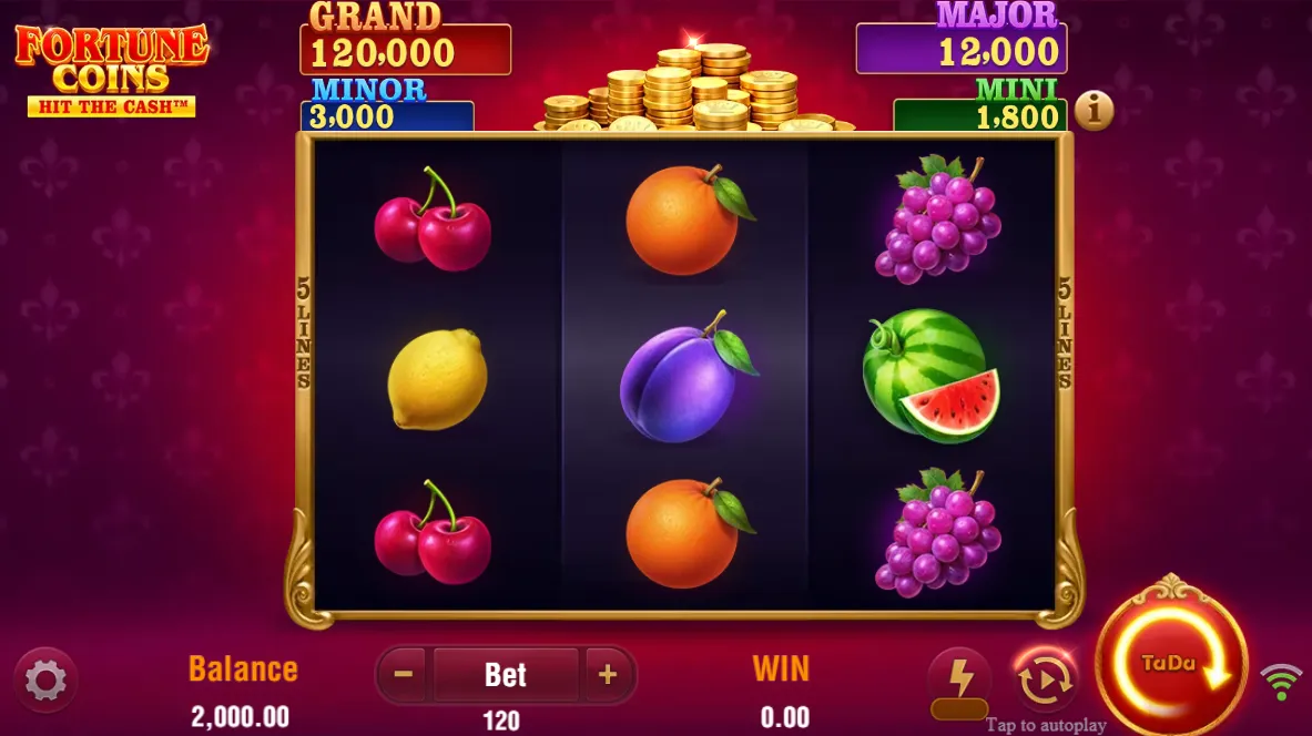 Fortune Coins