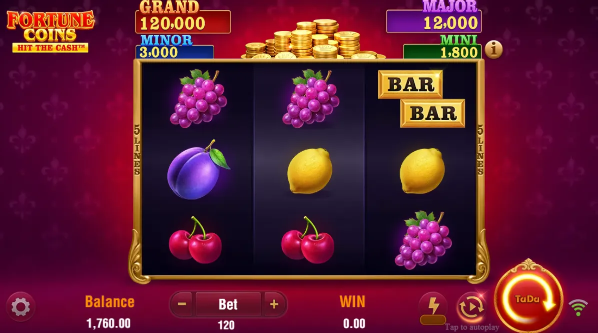 Fortune Coins Slot
