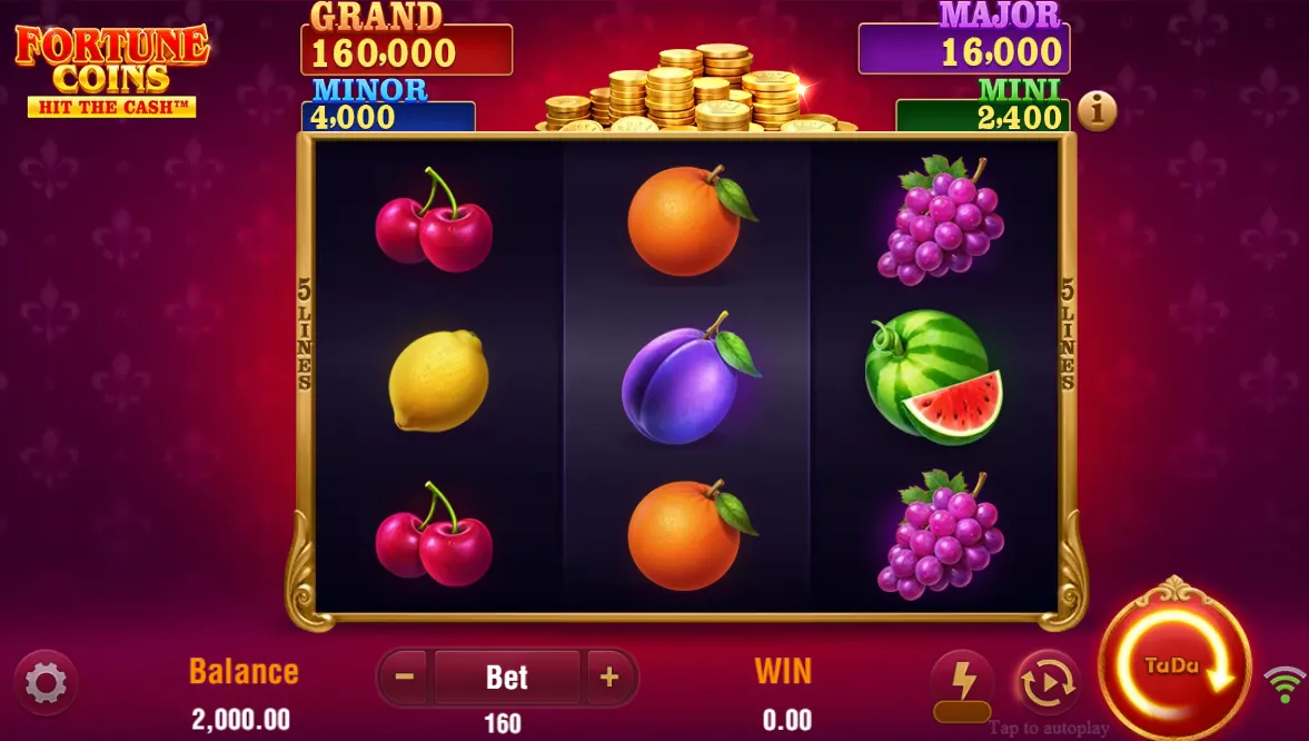 Fortune Coins demo